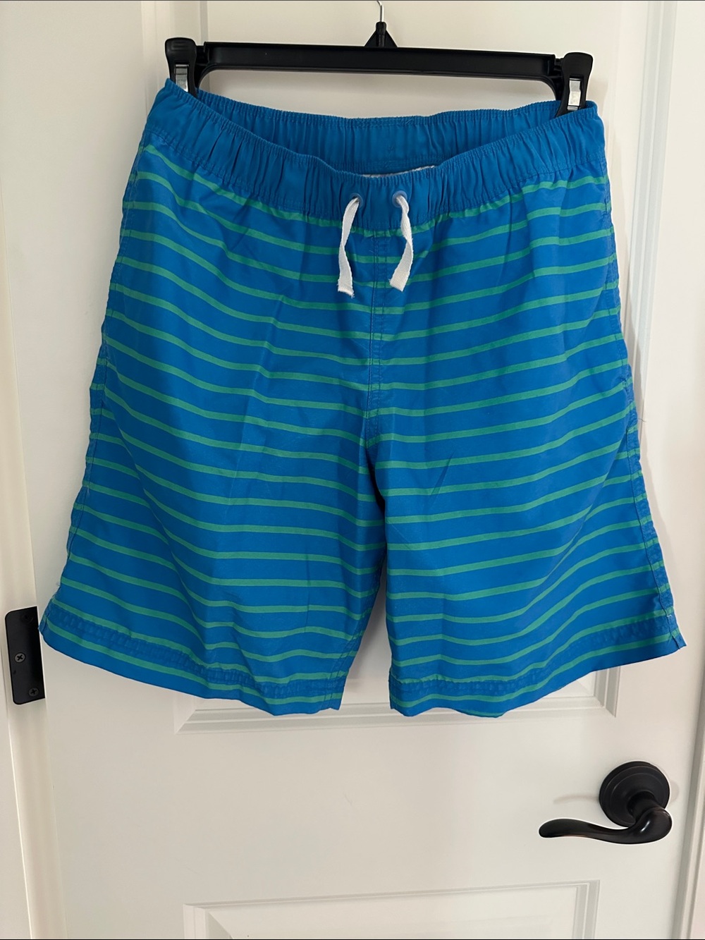 Hanna Andersson Blue and Green Striped Swim Trunks